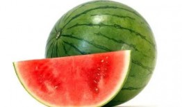 珍姓网红吃瓜,吃瓜界的风云人物